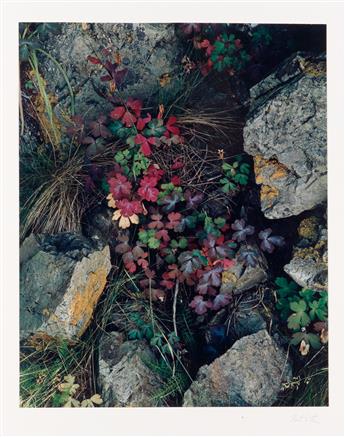 ELIOT PORTER (1901-1990) Portfolio entitled Intimate Landscapes.